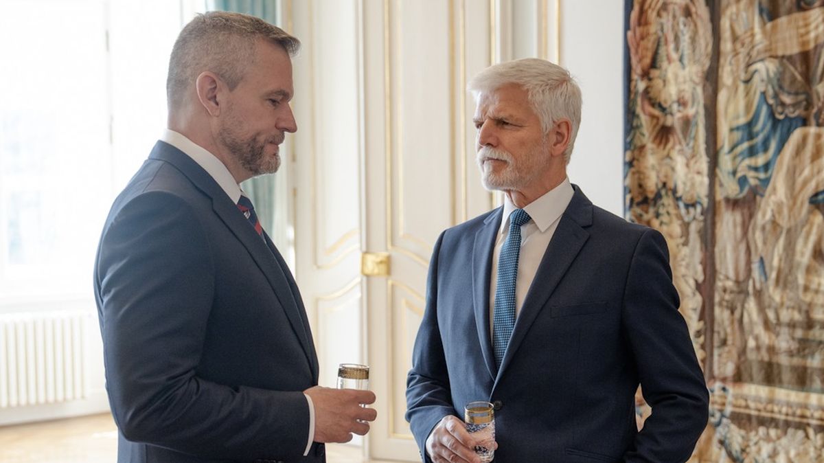 Pavel: Emotivní názory na V4 z obou částí spektra jsou škodlivé